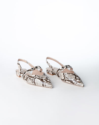 Zapatos baleta multicolor