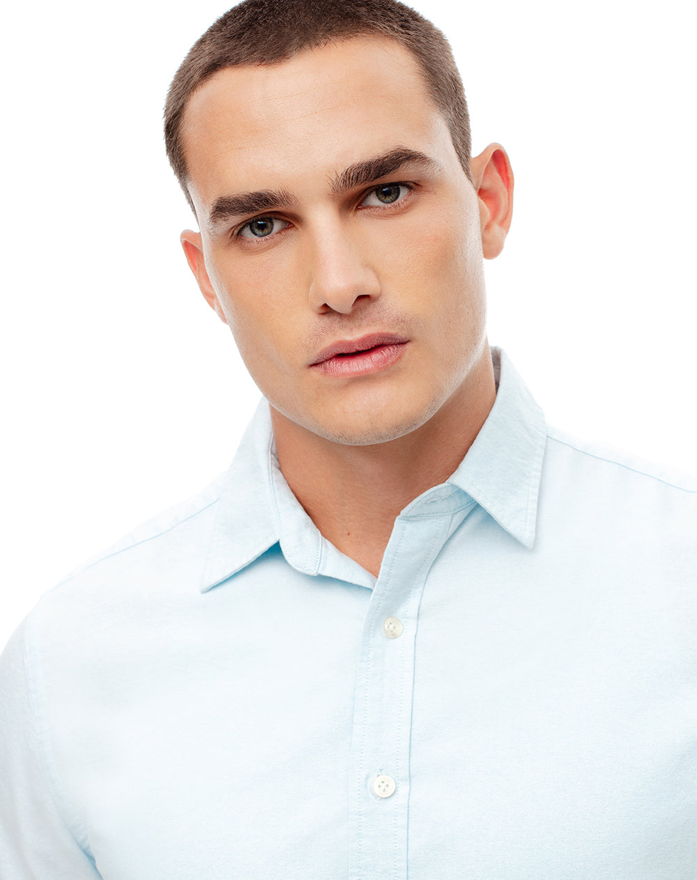 Camisa manga corta regular algodón azul hombre