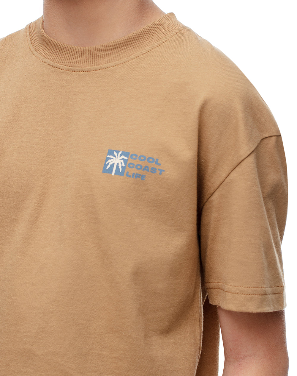 Camiseta regular algodón habana estampada niño