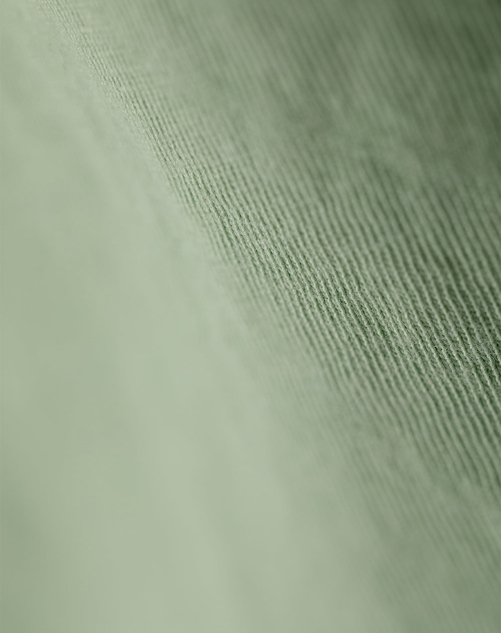 Polo regular algodón verde niño