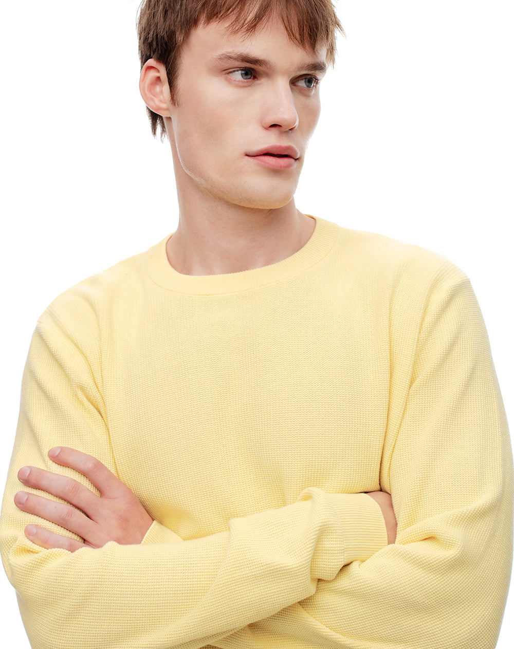 Buzo regular tejido algodón amarillo hombre