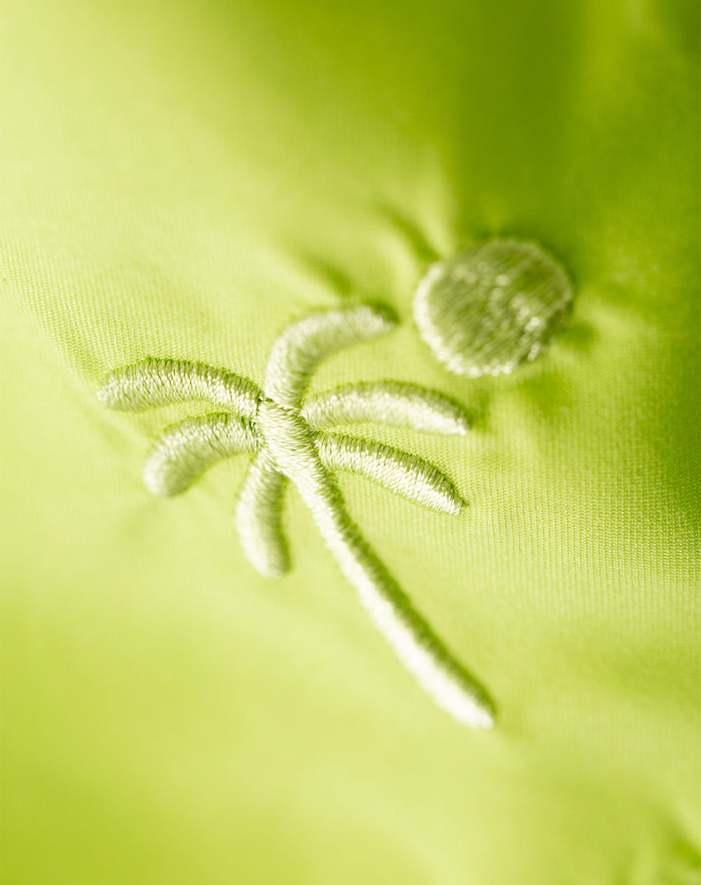 Pantaloneta verde