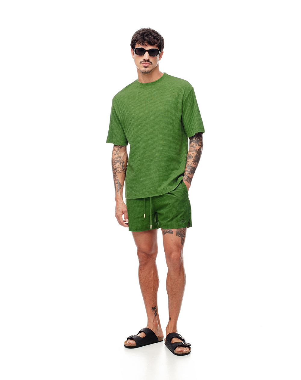 Bermuda verde