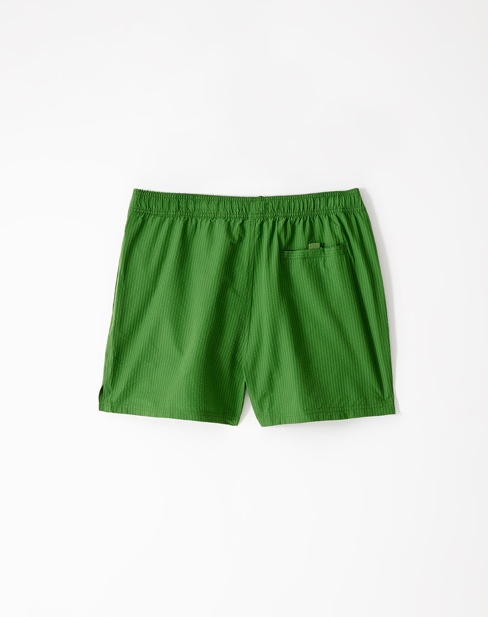 Bermuda verde