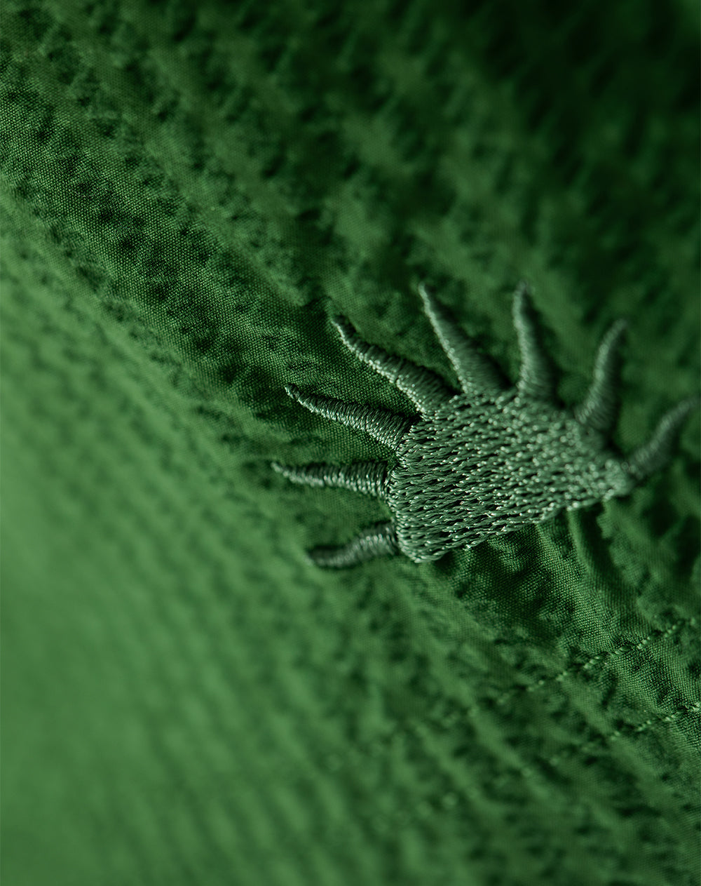 Bermuda verde