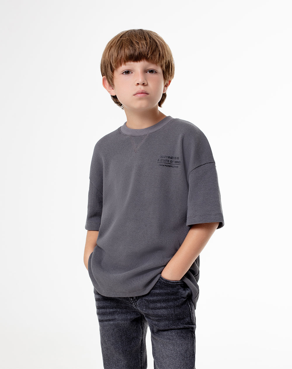 Camiseta Lepid regular fit manga corta gris