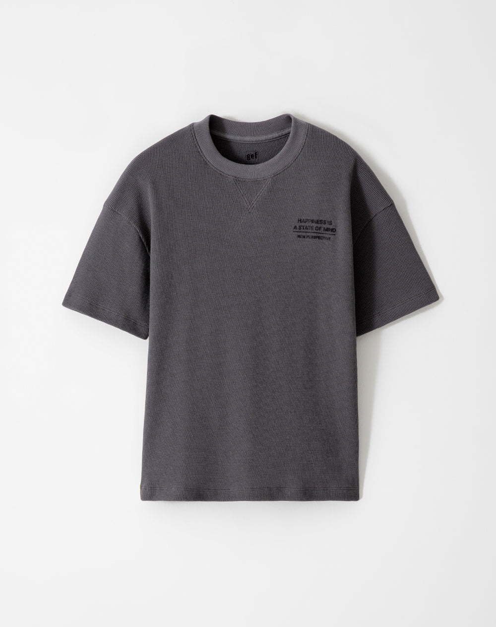 Camiseta Lepid regular fit manga corta gris