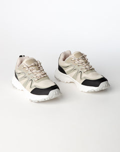 Tenis multicolor