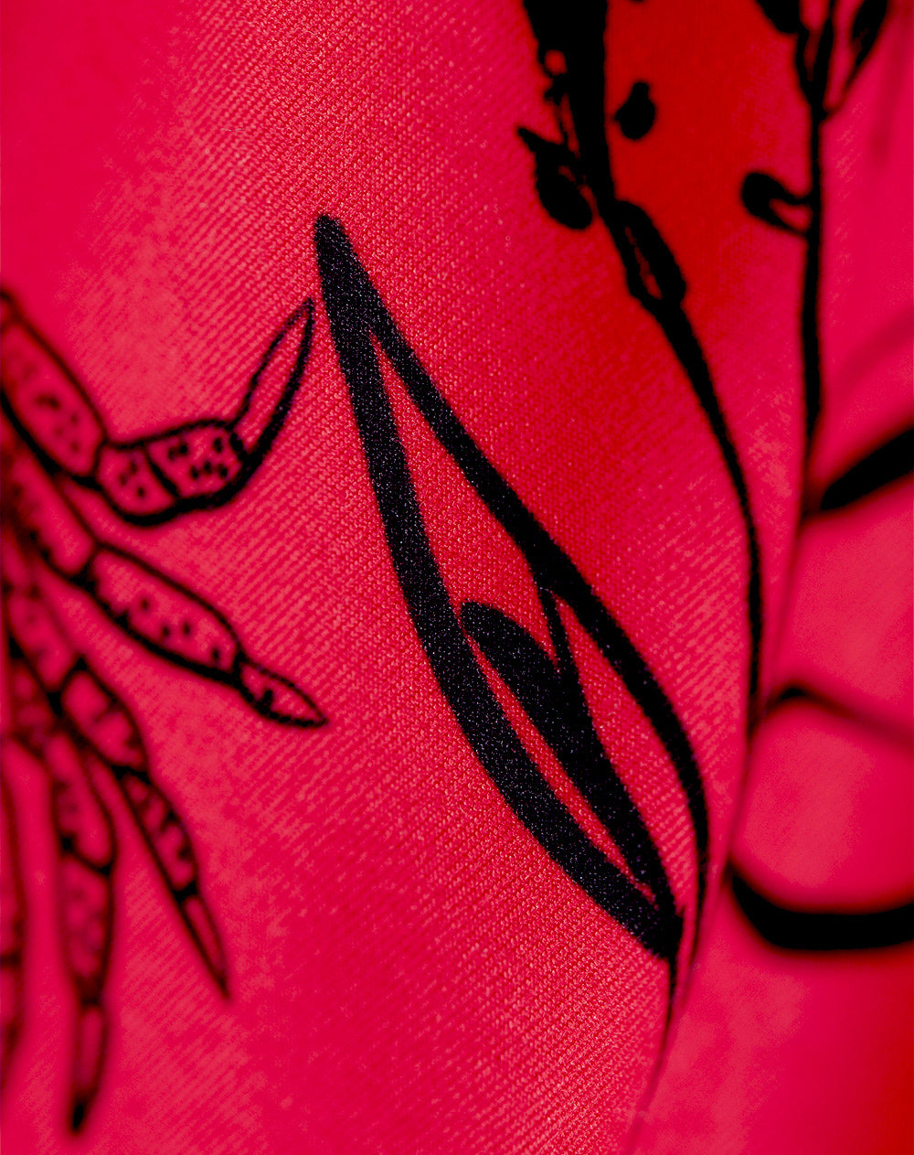 Pantaloneta rojo estampado