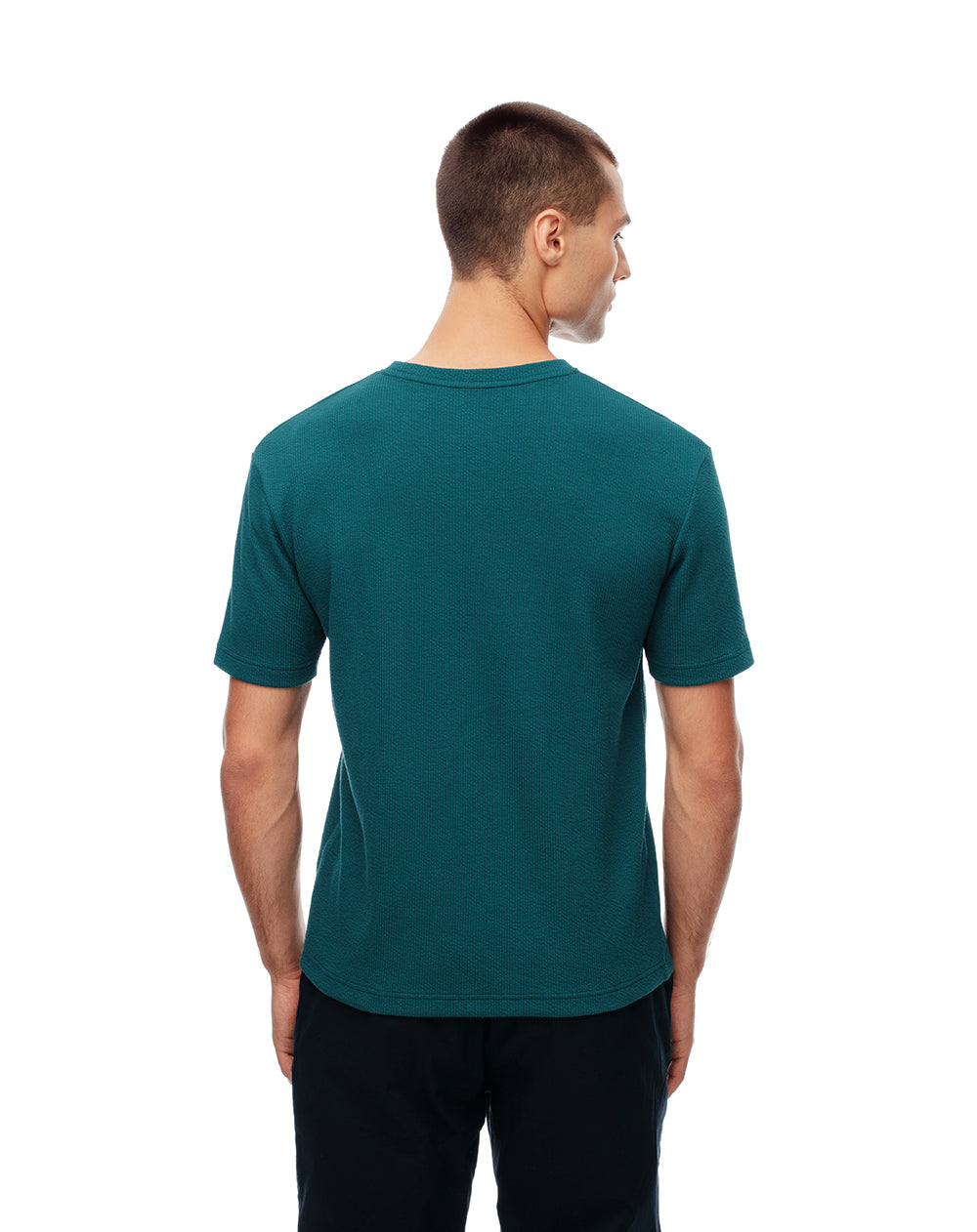 Camiseta regular fit manga corta verde
